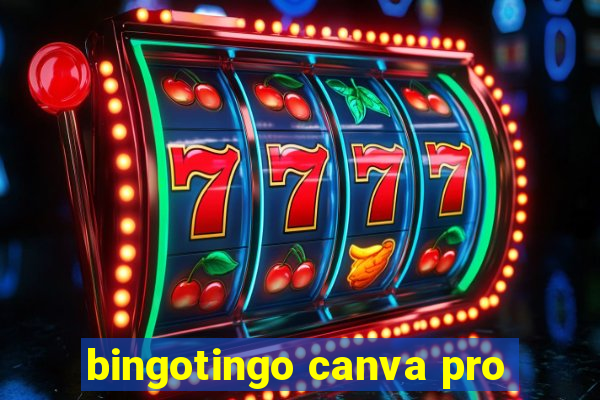 bingotingo canva pro